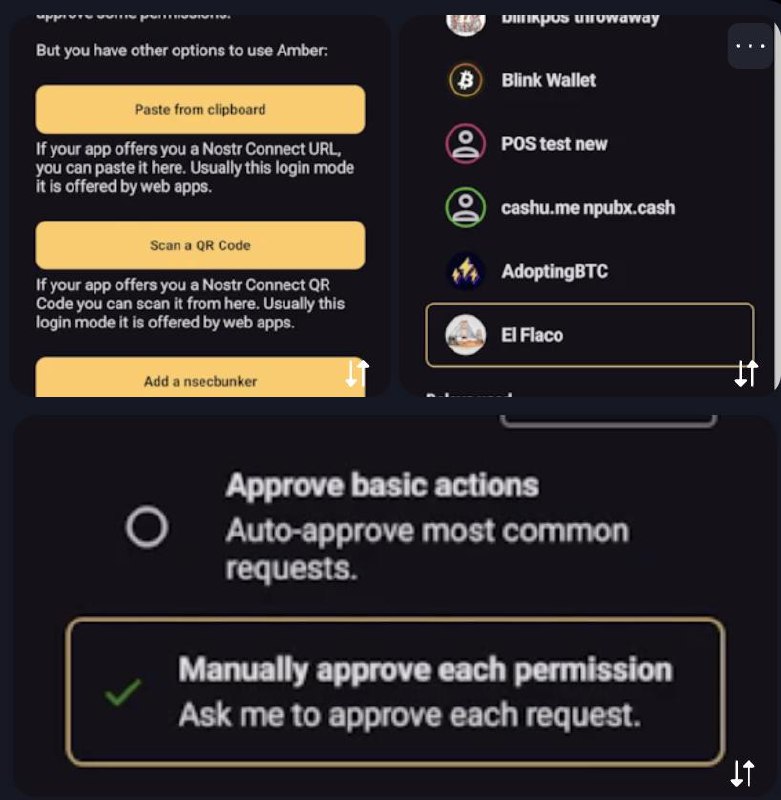 Amber app screenshot showing Paste from clipboard, Scan a QR Code, and permission approval options